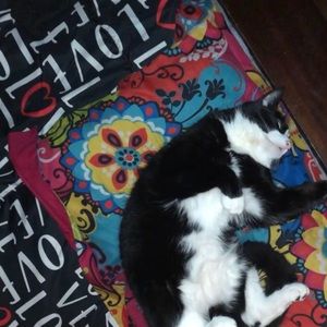 Meet your Posher, Kimberly